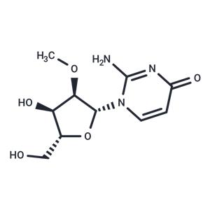 2’-O-Methyl isocytidine