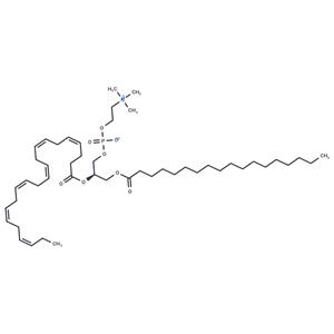 1-Stearoyl-2-docosahexaenoyl-sn-glycero-3-PC