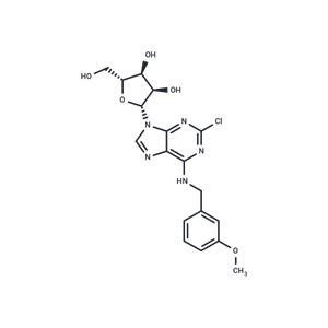 2’-Chloro-N6-(3-methoxy)benzyl ? adenosine