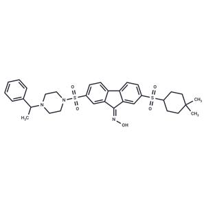 YAP/TAZ inhibitor-1