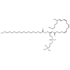 1-Stearoyl-2-15(S)-HETE-sn-glycero-3-PC