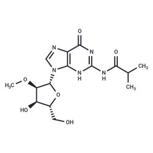 2’-O-Methyl-N2-isobutyroylguanosine