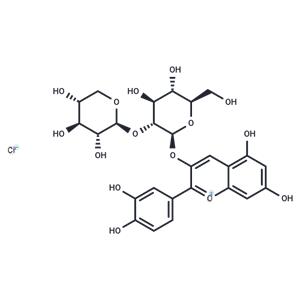 Cyanidin 3-sambubioside chloride