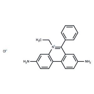 Homidium Cl