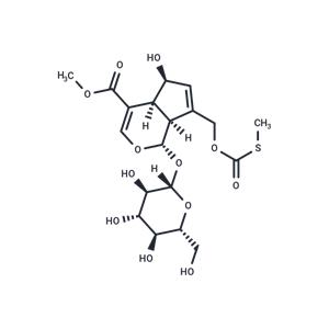 Paederosidic acid methyl ester