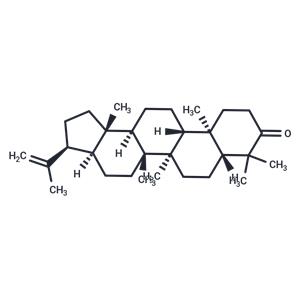 3-Oxo-hop-22(29)-ene