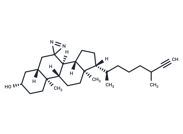 LKM38