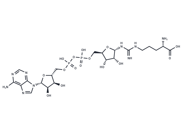 ADP-Ribosylarginine