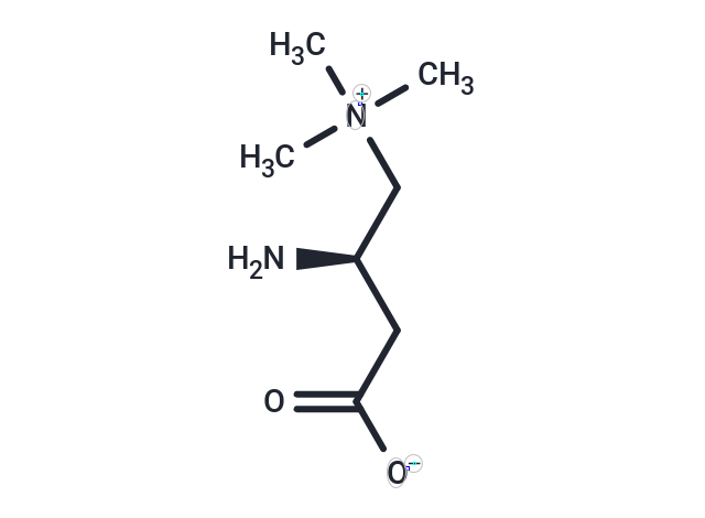 Aminocarnitine