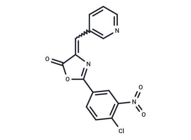 ROCKII-IN-DI