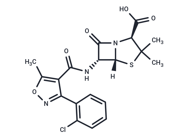 Cloxacillin