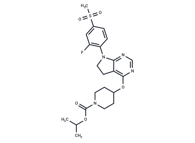 GSK1104252A