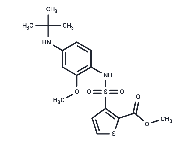 PT-S58