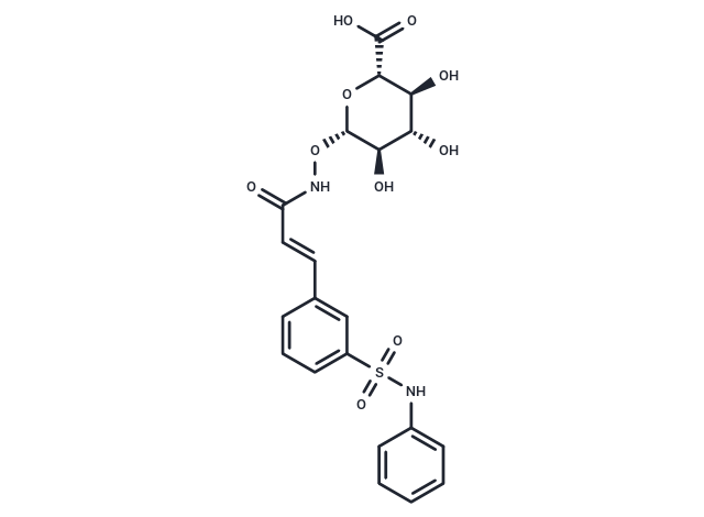 Belinostat Glucuronide