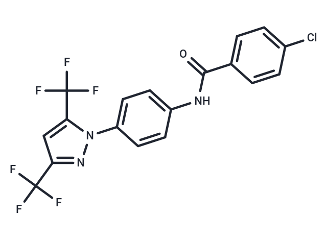 BTP1