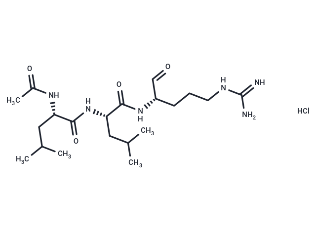 Leupeptin HCl