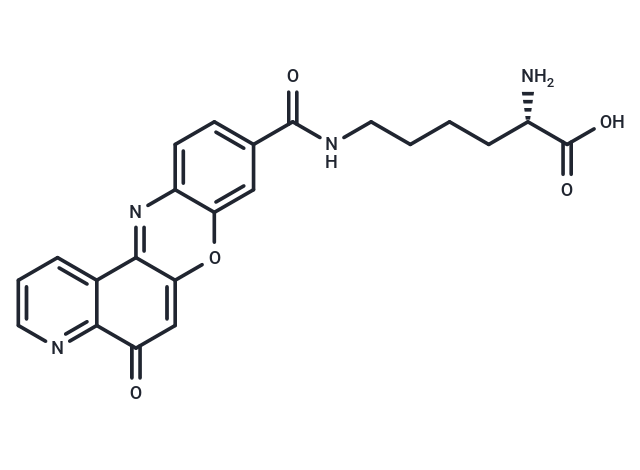 Topoisomerase IIα-IN-2