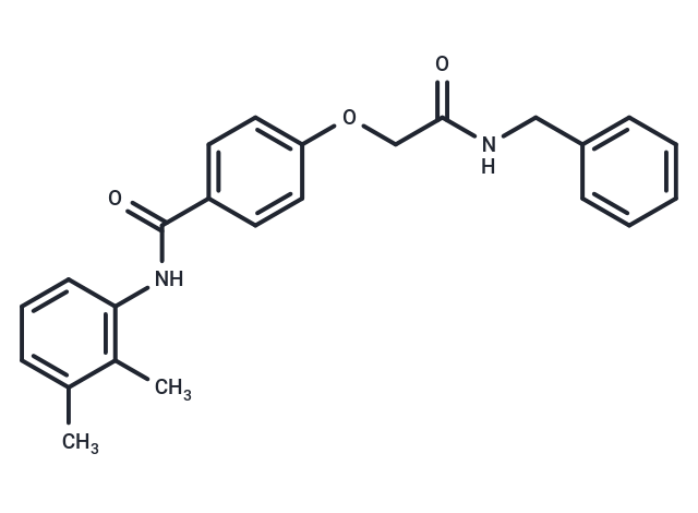 MEISi-1