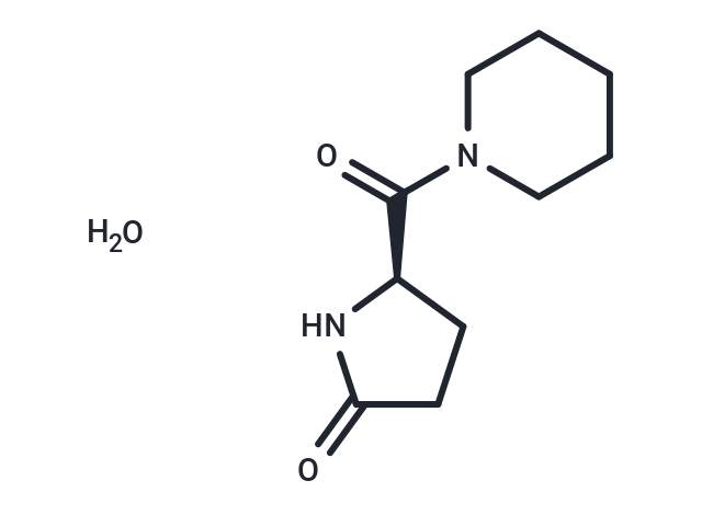 Fasoracetam monohydrate