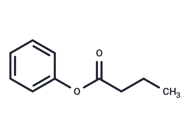 Phenyl butyrate