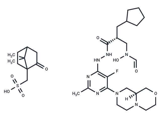 Lanopepden camsylate