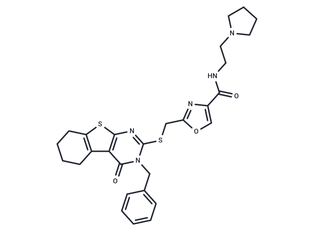 DK-1-49