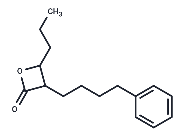 GSK563