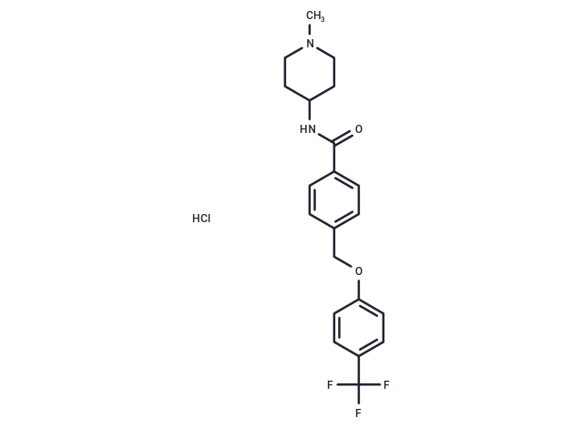 GT-0198 HCl