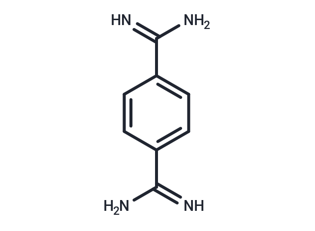 Terephthalamidine