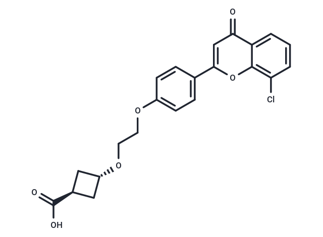 trans-ccc_R08