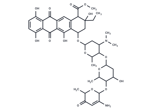 Rudolfomycin