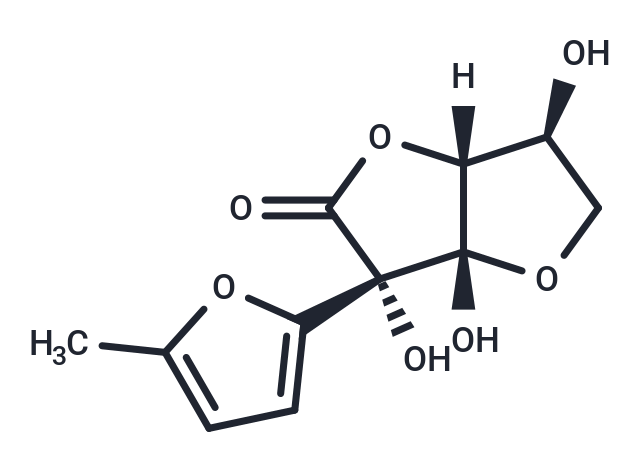 Nafocare B1