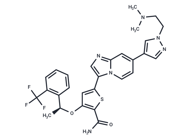 CMP3a