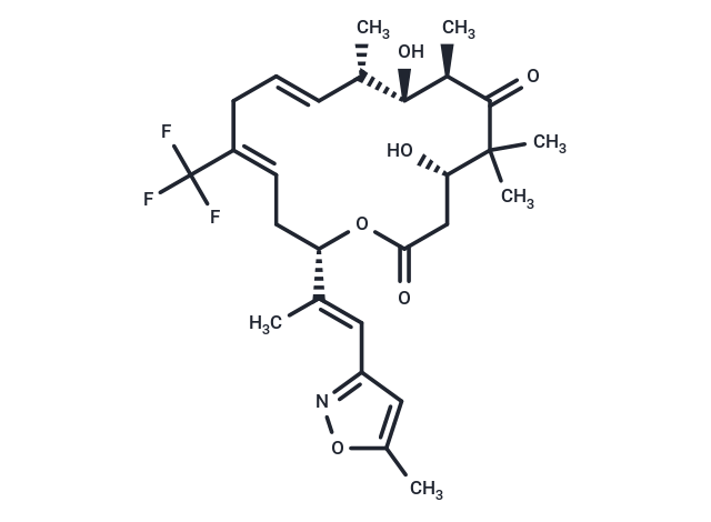 Iso-Fludelone