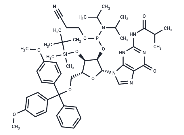 JFN05510