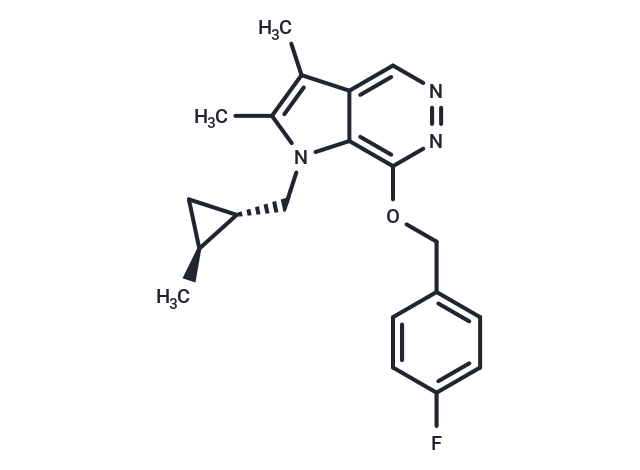 CS-526