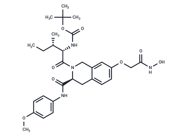 ZYJ-25e