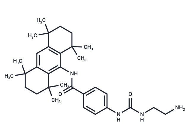 OAB-14