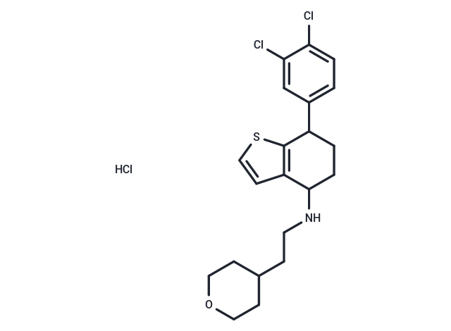 Antifungal agent 22