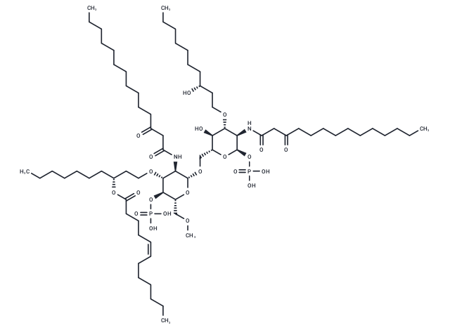 E 5531