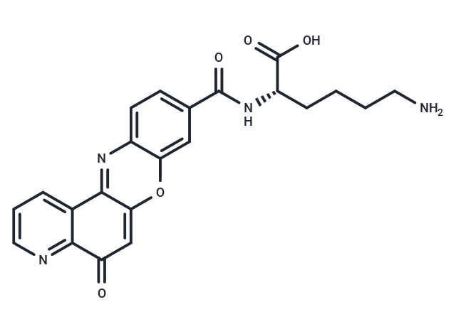 Topoisomerase IIα-IN-1