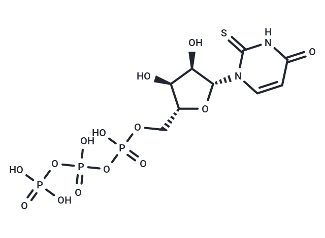 2-ThioUTP tetrasodium salt