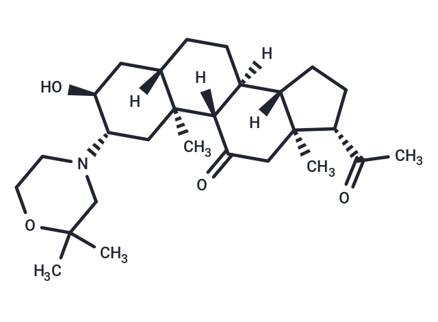 Org-21465