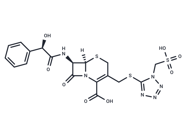 Cefonicid (free base)