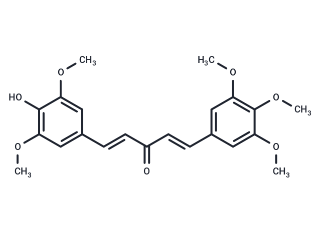 GO-Y078