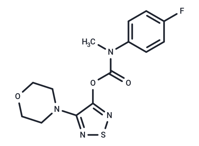 JZP-MA-13