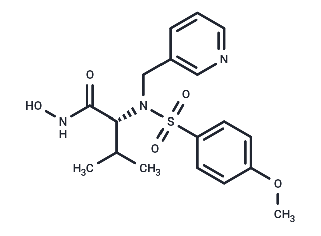 CGS-27023A HCl