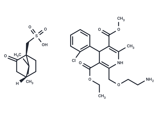 Amlodipine camsylate