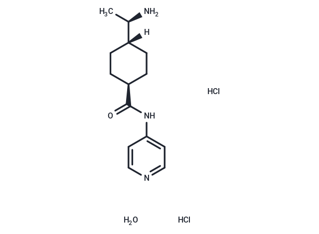 Y27632 HCl hydrate