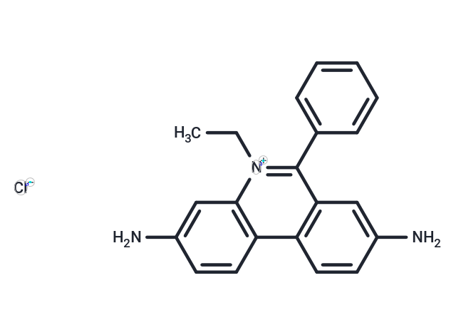 Homidium Cl